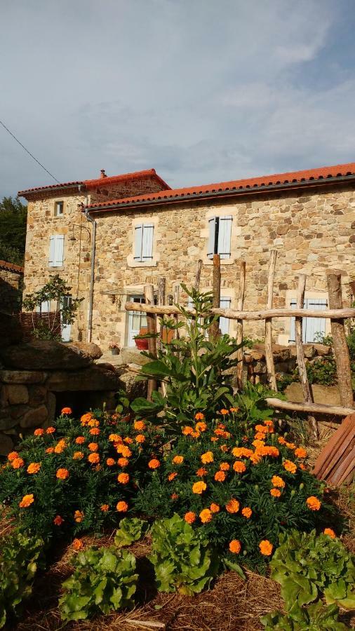 Villa La Pierre Du Grain Ravel Exterior foto